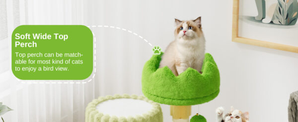 Oak & Tea Cat Tree Small 53cm with Scratch column Cave Seat & 2 Play Balls Cat House for Cats & Kittens Light Grey - Image 12
