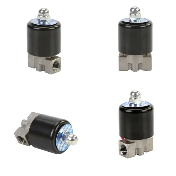 1/8" 1/4" Normally Closed/Open Stainless Steel Solenoid Valve 110V 220V 12V 24V - Image 5