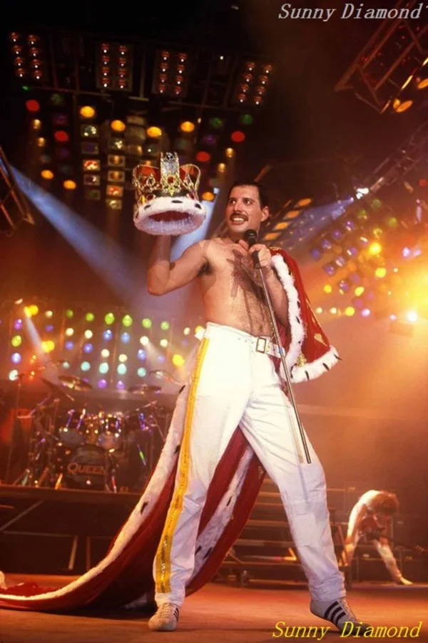 1PCS Icons Freddie Mercury Rock Full Round/Square drill 5D DIY Diamond Painting Art Mosaic Home Decor Gifts frameless - Image 12